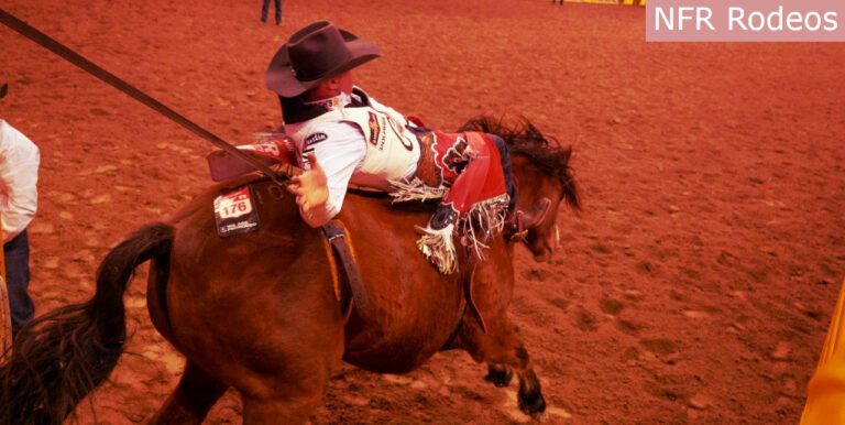 The Ninth Day Performance at the Wrangler National Finals Rodeo