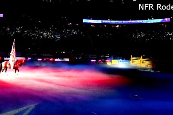 Performance at the Eighth Day Wrangler National Finals Rodeo