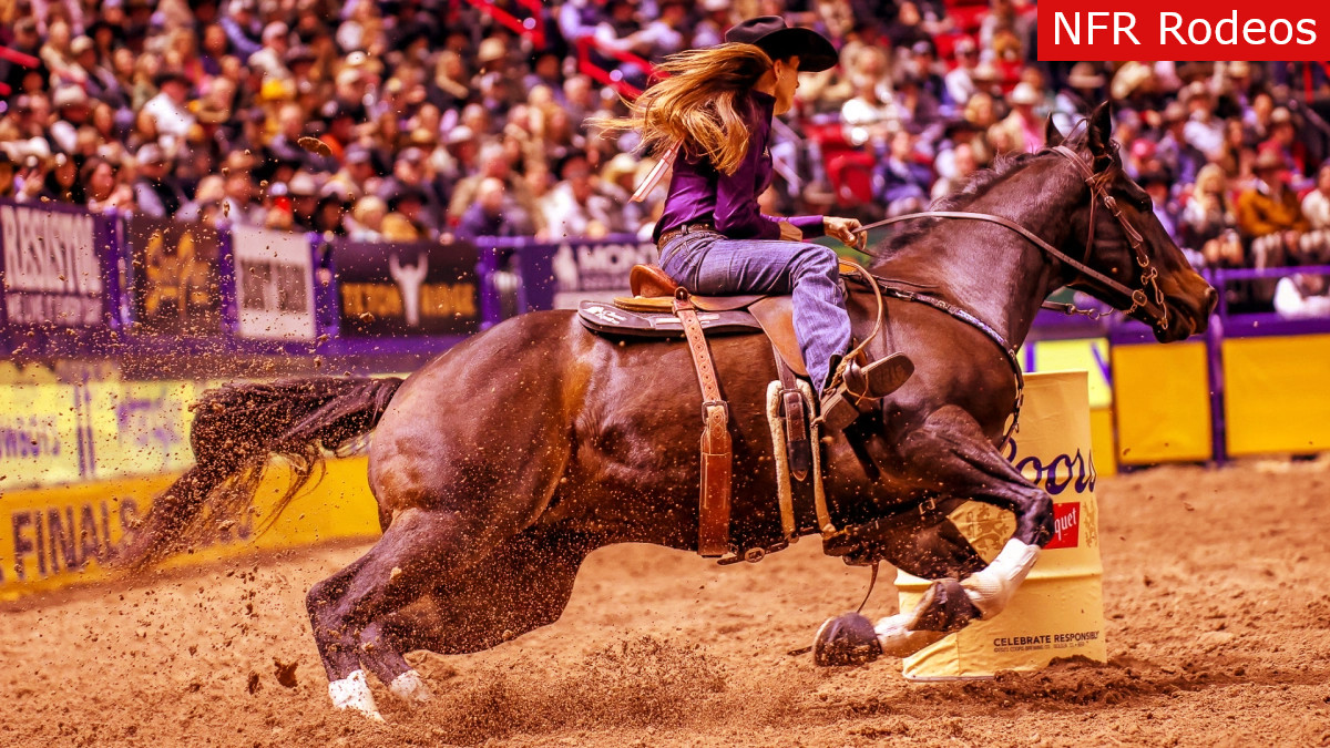 The 40th Annual Wrangler National Finals Rodeo in Las Vegas has announced its entertainment.